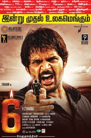 6 Candles (2013) Dubbed | Hindi Full Movie HDRip 350MB