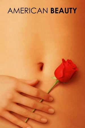 American Beauty (1999) Dual Audio | Hindi Full Movie BluRay [900MB]