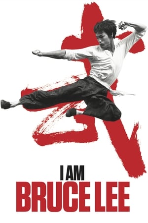 I Am Bruce Lee 2012 300MB Dual Audio Bluray | Hindi Full Movie