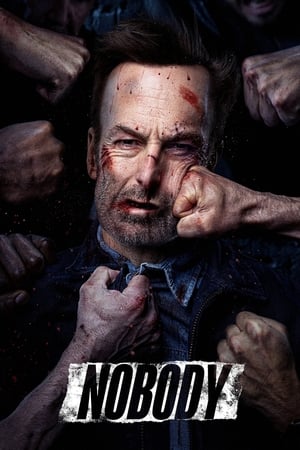 Nobody (2021) (Cleaned) Dual Audio | Hindi Full Movie Web-DL 320MB